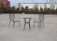 탁자와 72개 센티미터 알루미늄 로프 정원 세트 2 의자